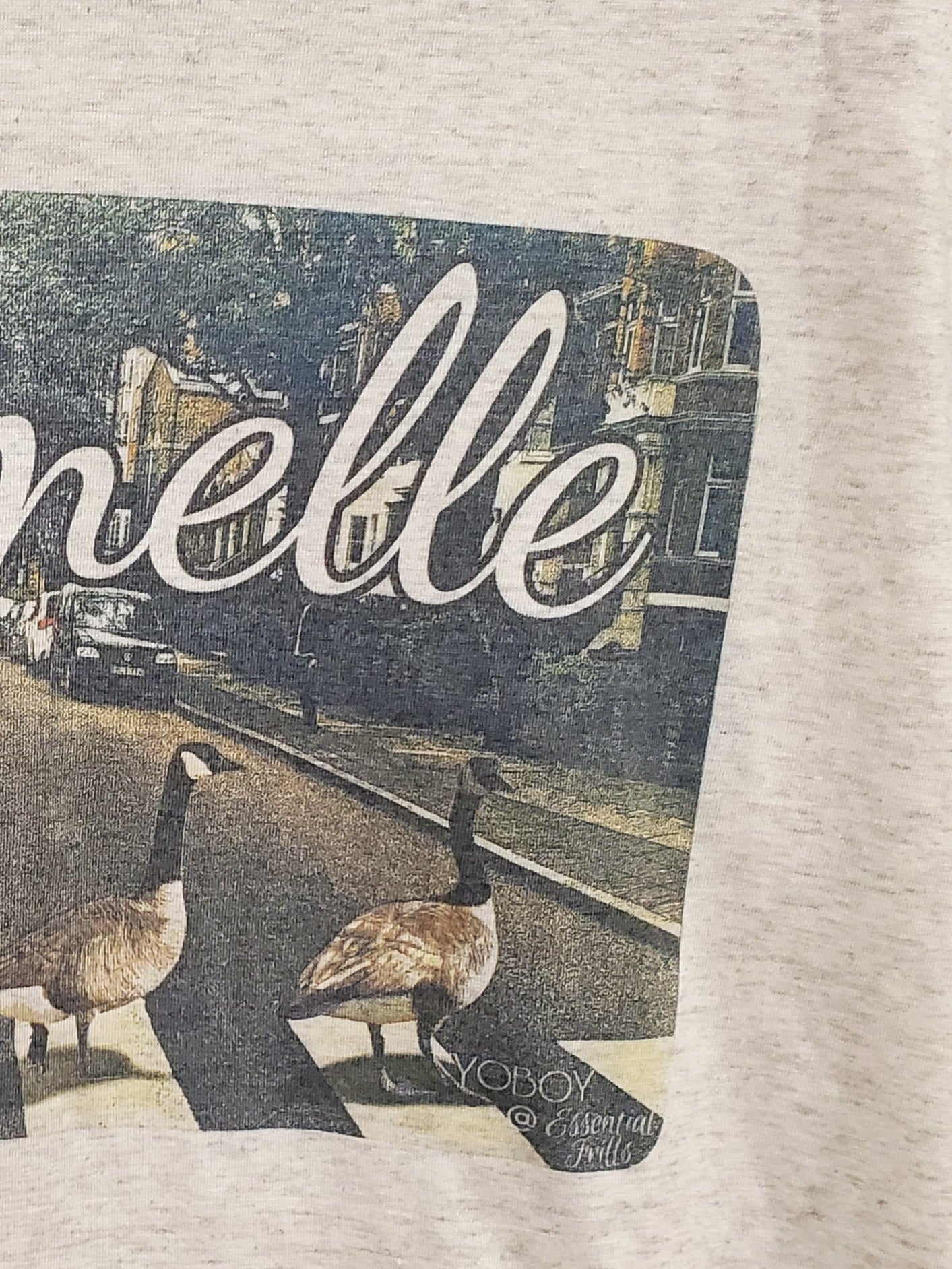Maumelle Geese Unisex Tee - Gray